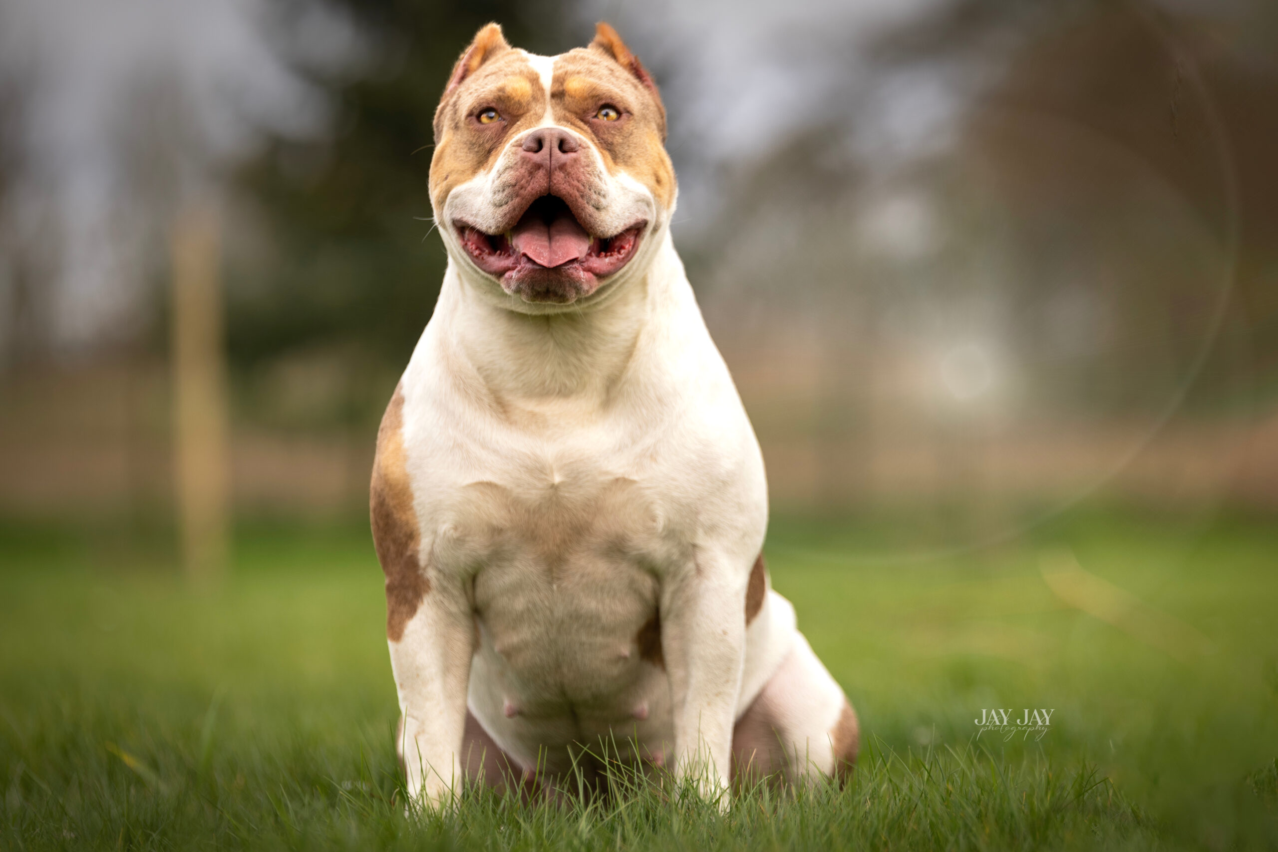 MSB&rsquo;s Nephthys